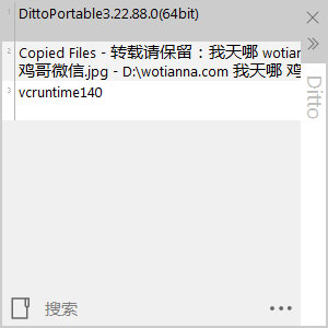 Ditto(3.22.88.0)复制粘贴剪切板增强 中文绿色版 1